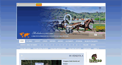 Desktop Screenshot of mediahorsesrace.com